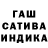 Канабис OG Kush TALGAT YESMUKHANOV